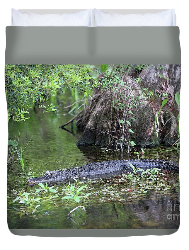 Swamp Duvet Cover featuring the photograph Sitting Pretty Gator by Carol Groenen