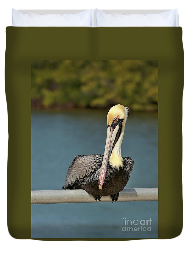 Pelican Duvet Cover featuring the photograph Sitting Pretty Pelican by Carol Groenen