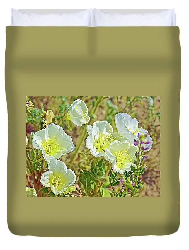 Six Dune Evening Primrose In Anza-borrego State Park Duvet Cover featuring the photograph Six Dune Evening Primrose inAnza-Borrego State Park-California by Ruth Hager