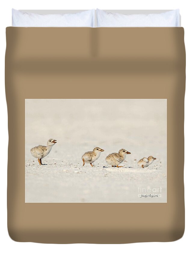 Skimmers Duvet Cover featuring the photograph Size Matters by Judy Rogero