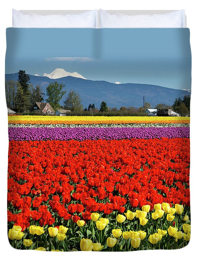 Tulips Duvet Cover featuring the photograph Skagit Valley Tulip Fields by Inge Riis McDonald
