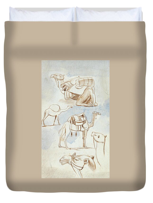 English Art Duvet Cover featuring the drawing Sketch studies of camels by Edward Lear