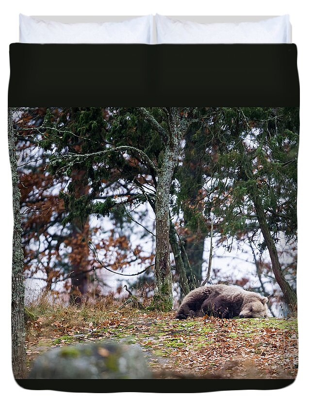 Bear Duvet Cover featuring the photograph Sleeping Bear by Torbjorn Swenelius