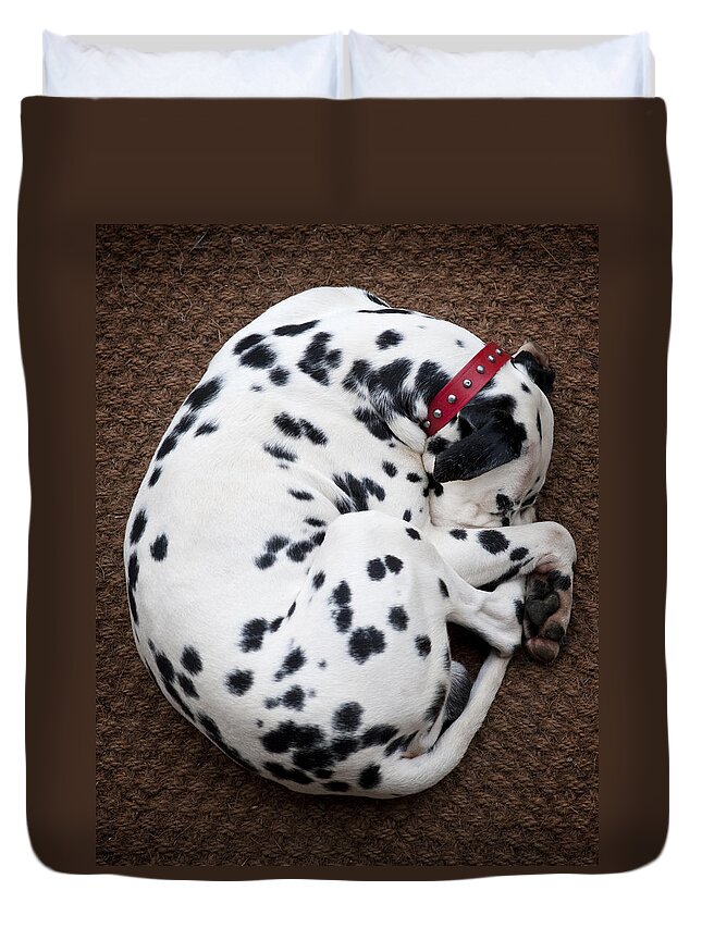 Sleeping Dalmatian Duvet Cover For Sale By Rafa Rivas