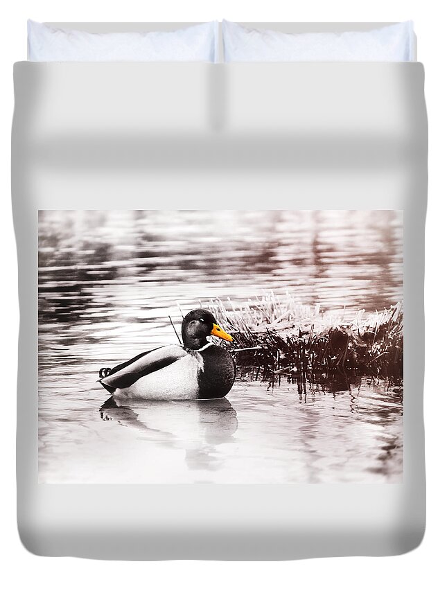 Duck Duvet Cover featuring the photograph Sleeping Duck by Jaroslav Buna