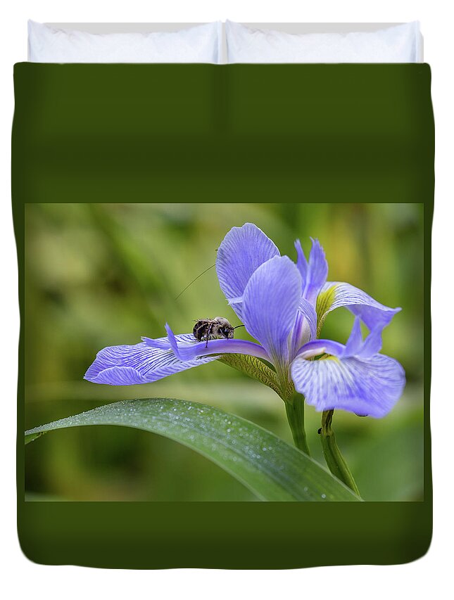 Bumble Bee Duvet Cover featuring the photograph Sleeping on the Iris by Christy Cox