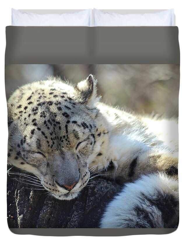 Snow Leopard Duvet Cover featuring the photograph Sleeping Snow Leopard by Holly Ross