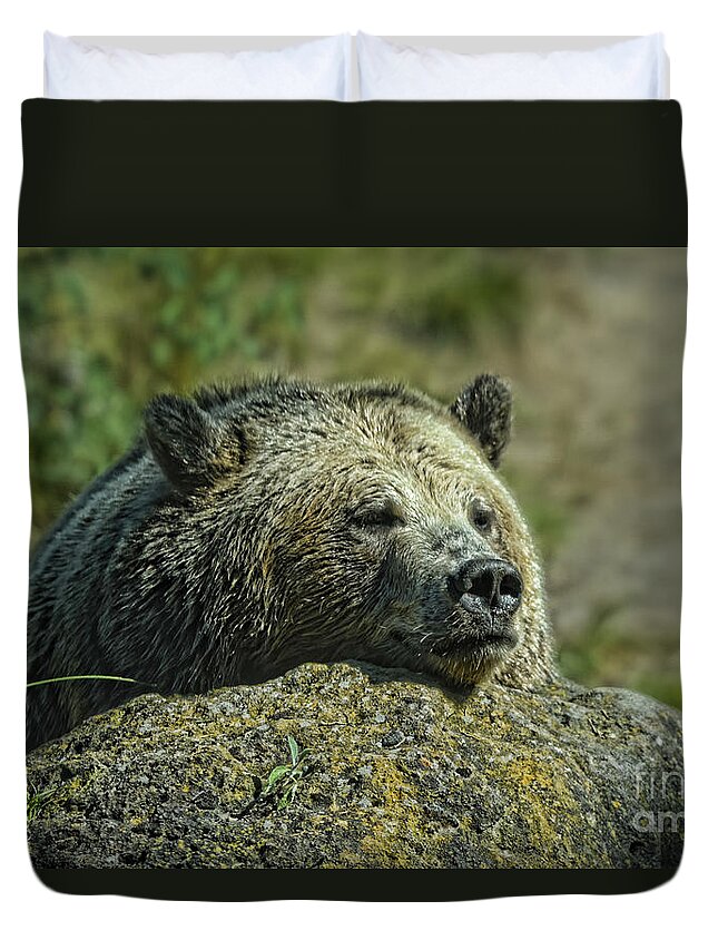 Grizzly Bear Duvet Cover featuring the photograph Sleepy Bear by Jim Fitzpatrick