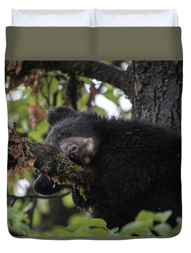 Black Bear Duvet Cover featuring the photograph Sleepy Cub by David Kirby