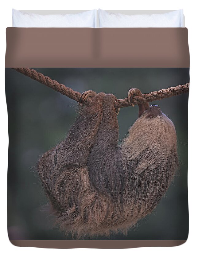 Animal Duvet Cover featuring the photograph Sloth by Brian Cross