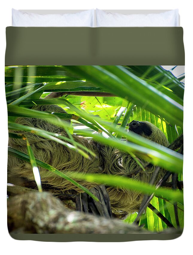 Sloth Duvet Cover featuring the photograph Sloth Life by David Morefield