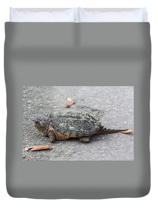 Turtle Duvet Cover featuring the photograph Slow Crossing 3 March 2018 by D K Wall