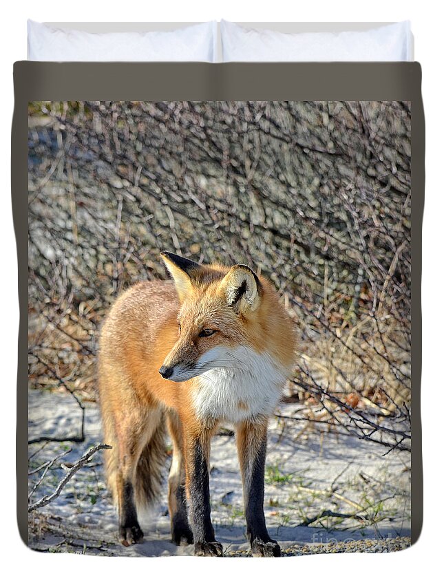 Fox Duvet Cover featuring the photograph Sly little fox by Sami Martin