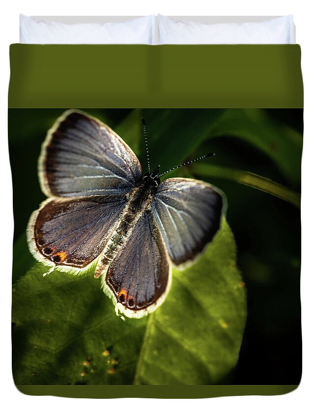Jay Stockhaus Duvet Cover featuring the photograph Small Beauty by Jay Stockhaus