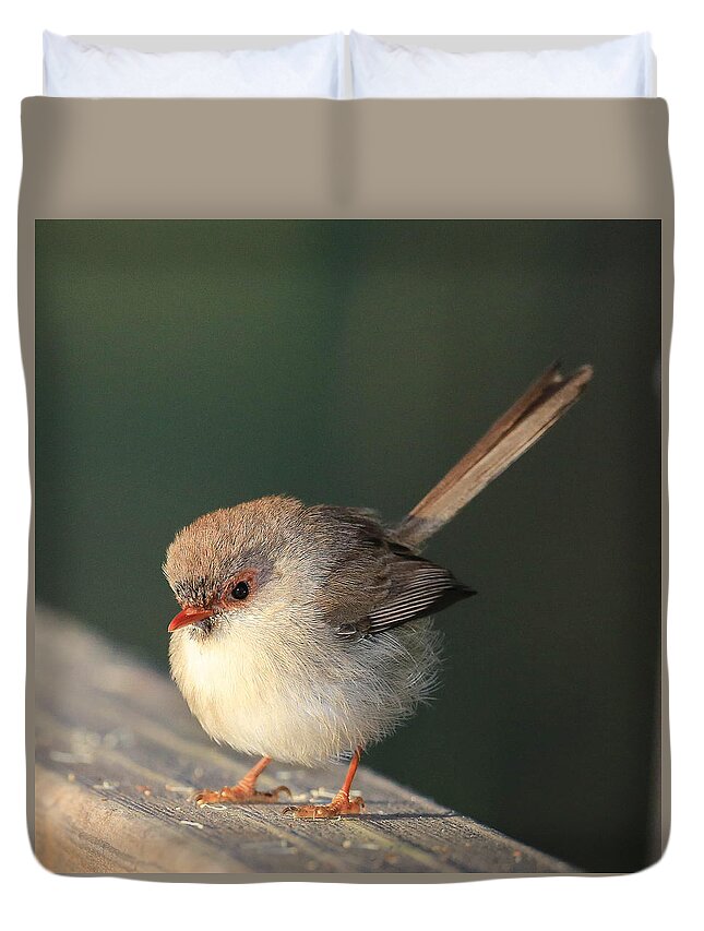  Duvet Cover featuring the photograph Small bird on timber by David Trent