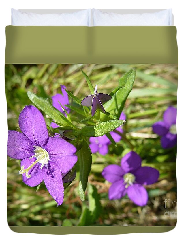 A Path Of Petals Duvet Cover featuring the photograph Small Mauve Flowers by Jean Bernard Roussilhe