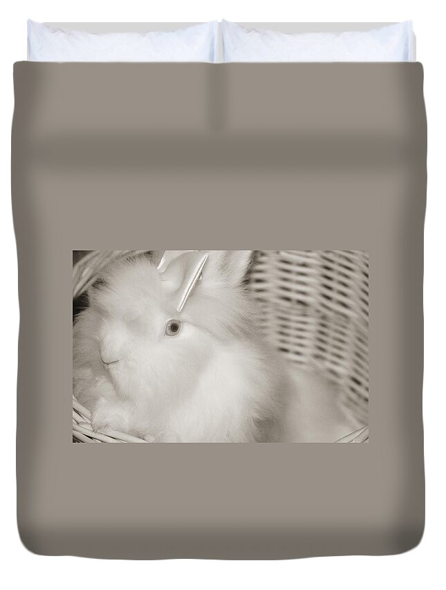  Duvet Cover featuring the photograph Smart Bunny by The Art Of Marilyn Ridoutt-Greene