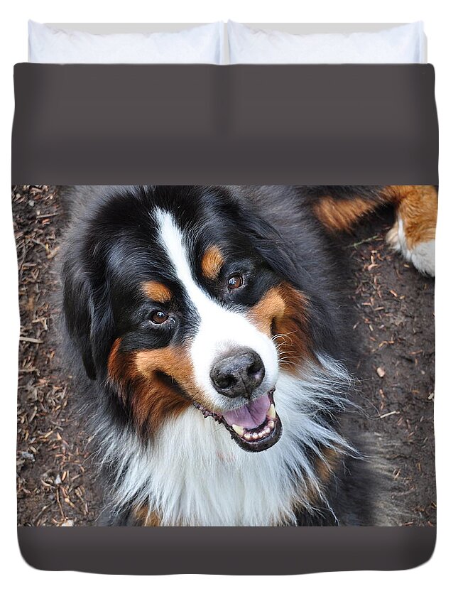 Outside Duvet Cover featuring the photograph Smiling Bernese Mountain Dog by Pelo Blanco Photo
