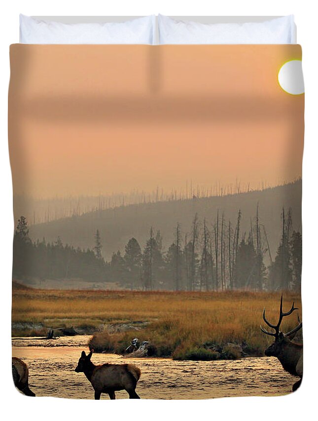 Elk Duvet Cover featuring the photograph Smokey Elk Crossing by Wesley Aston
