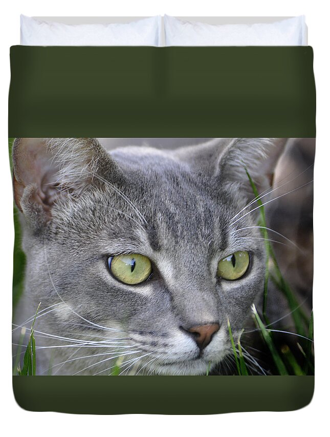 Cat Duvet Cover featuring the photograph Smokey's Stare by Josephine Buschman