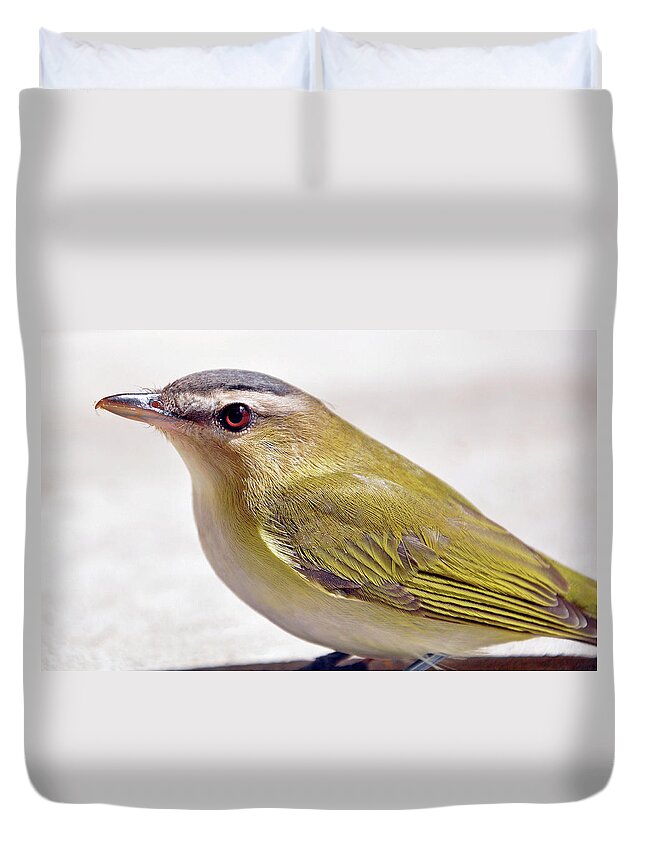 Goldfinch Duvet Cover featuring the photograph Smooth by Glenn Gordon