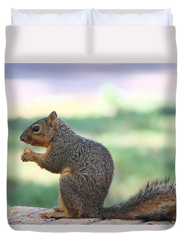 Squirrel Duvet Cover featuring the photograph Snack Time by Colleen Cornelius