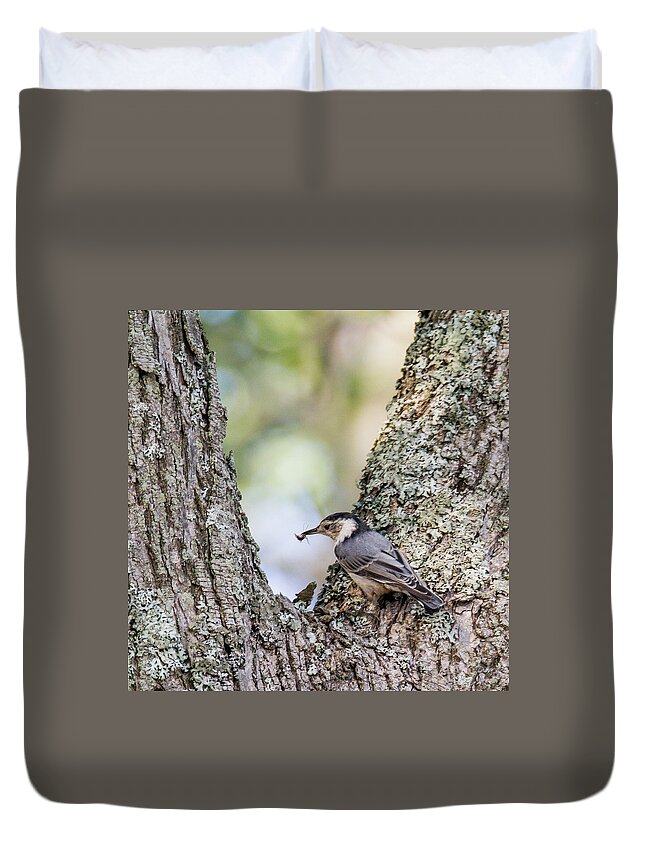 Nuthatch Duvet Cover featuring the photograph Snack Time by Darryl Hendricks