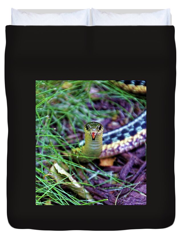 Snake Duvet Cover featuring the photograph Snake in the Grass by Doolittle Photography and Art