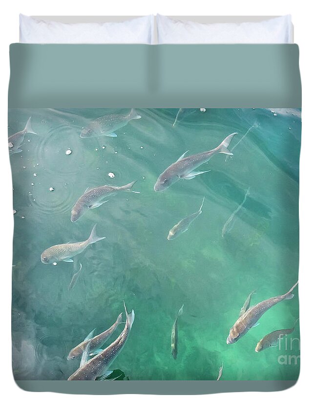 Pacific Duvet Cover featuring the photograph Snappa Fish, Pacific Ocean by Yurix Sardinelly