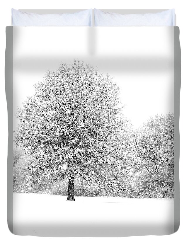 Winterpacht Duvet Cover featuring the photograph Snow Covered by Miguel Winterpacht