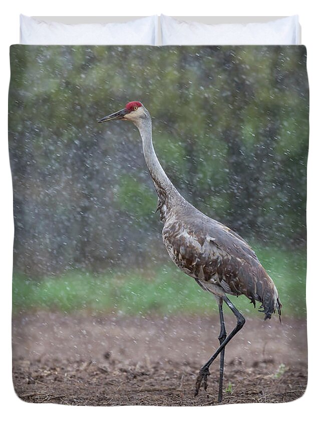 Sandhill Crane Duvet Cover featuring the photograph Snow Day by Thomas Young