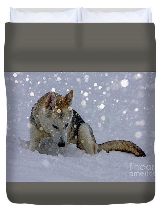 Dog Duvet Cover featuring the photograph Snow Dog by Geraldine DeBoer