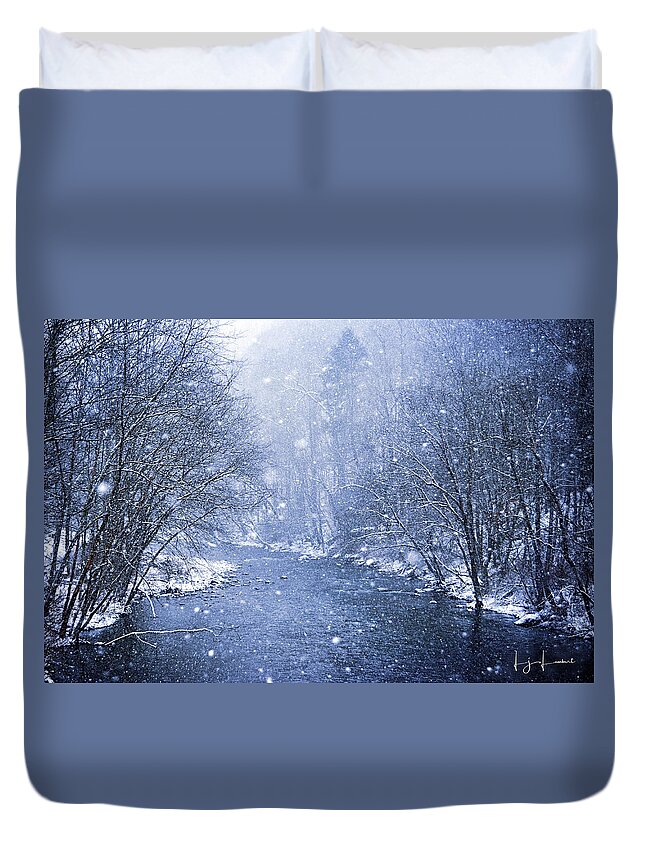 Privacy Duvet Cover featuring the photograph Snow Globe by Lisa Lambert-Shank