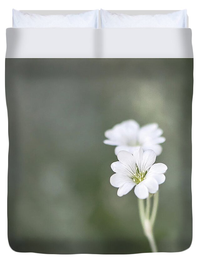 Summer Duvet Cover featuring the photograph Snow In Summer by Jennifer Grossnickle