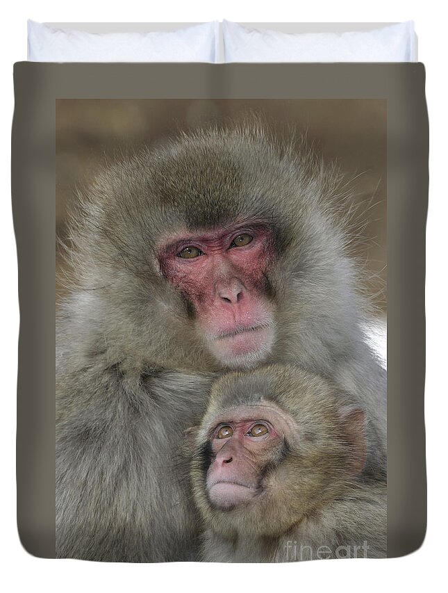 Japanese Macaque Duvet Cover featuring the photograph Snow Monkey And Young by Jean-Louis Klein & Marie-Luce Hubert