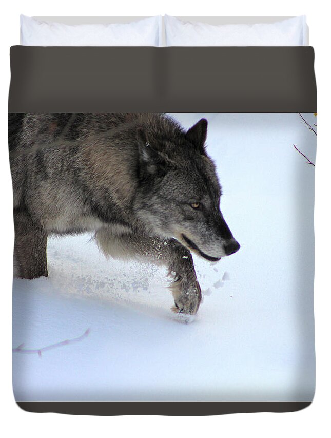 Wolf Duvet Cover featuring the photograph Snow Walker by Azthet Photography