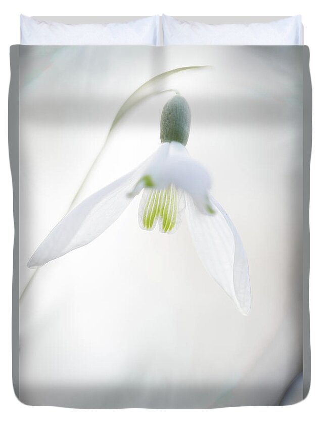 Galanthus Duvet Cover featuring the photograph Snowdrop a fragile hint of spring by Dirk Ercken