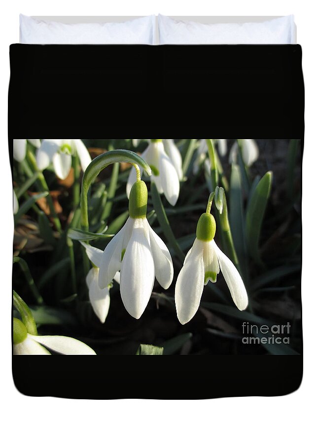 Snowdrops In The Sun Duvet Cover featuring the photograph Snowdrops in the Sun by Martin Howard