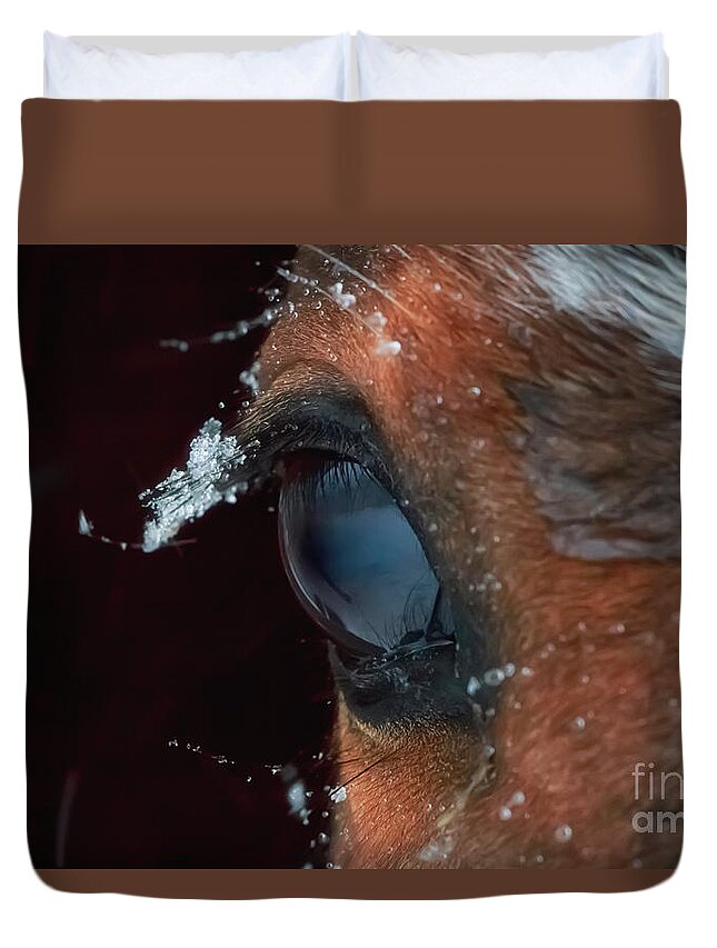 Horse Duvet Cover featuring the photograph Snowflakes that Stay on My Eyelashes by Elizabeth Dow