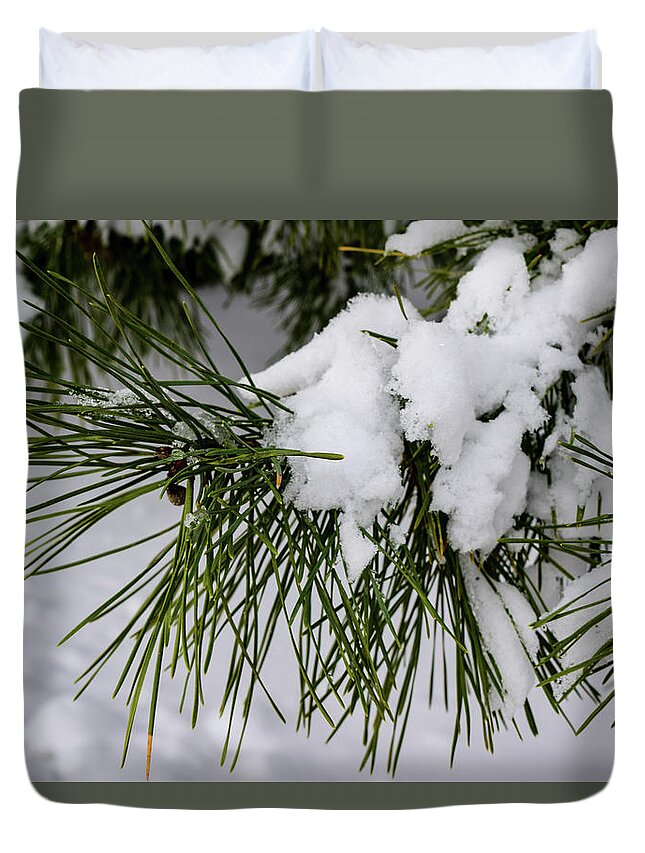 Snow Duvet Cover featuring the photograph Snowy Branch by Nicole Lloyd