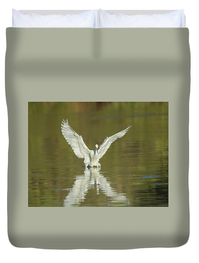 Snowy Duvet Cover featuring the photograph Snowy Egret 5601-092217-1cr by Tam Ryan