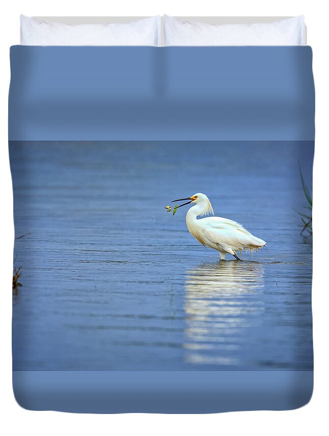 Snowy Egret Duvet Cover featuring the photograph Snowy Egret at Dinner by Rick Berk