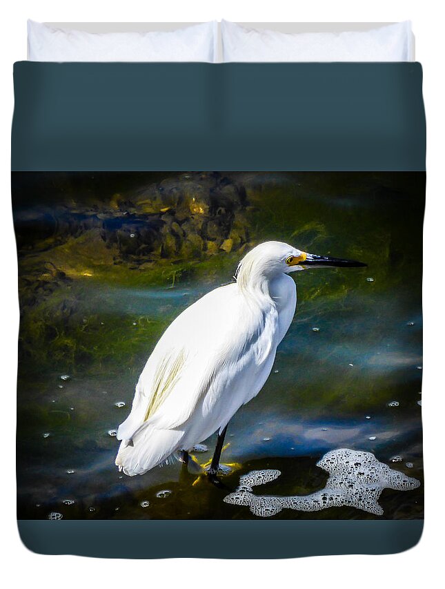 Snowy Egret Duvet Cover featuring the photograph Snowy Egret by Pamela Newcomb