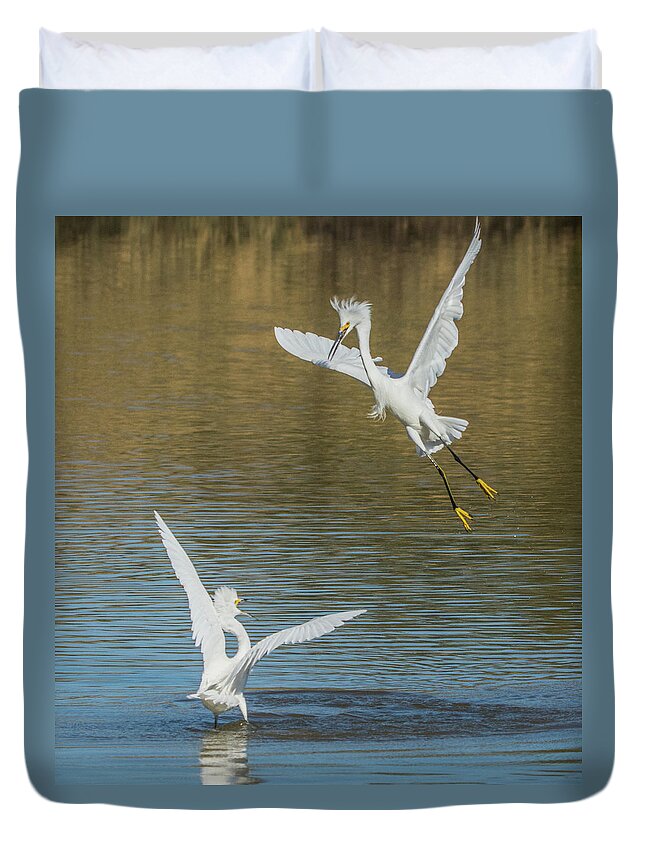 Snowy Duvet Cover featuring the photograph Snowy Egrets Dispute 3612-112317-1cr by Tam Ryan