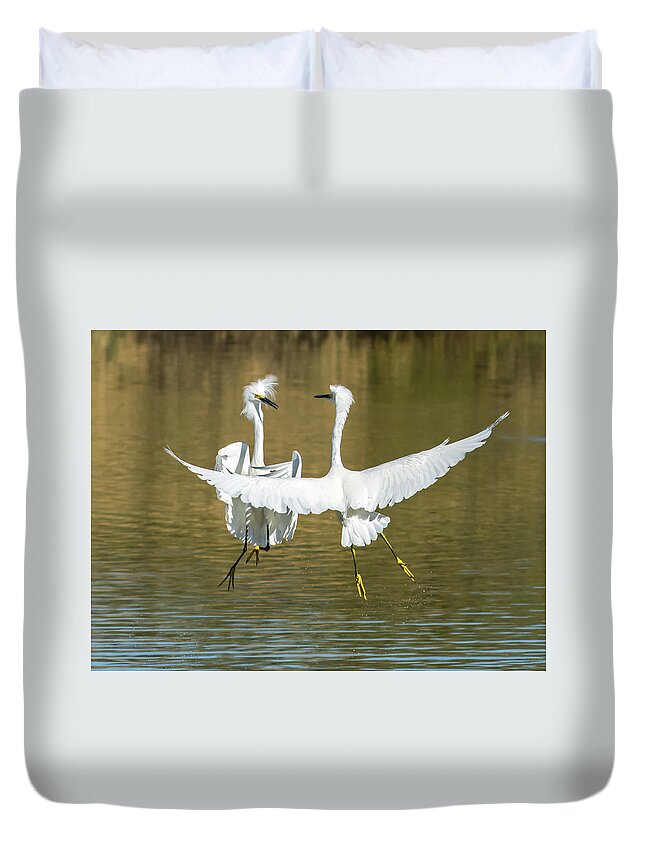 Snowy Duvet Cover featuring the photograph Snowy Egrets Fight 3638-112317-1cr by Tam Ryan