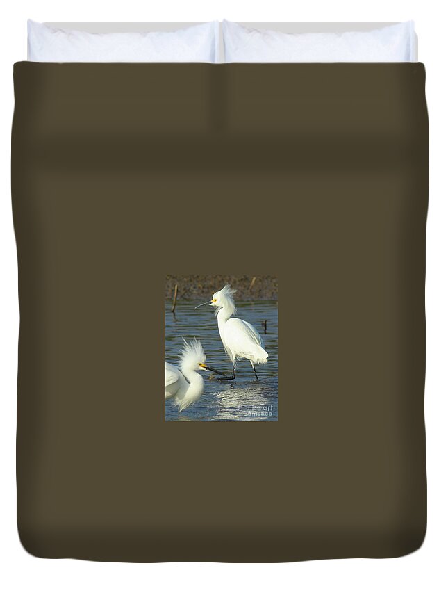 Nature Duvet Cover featuring the photograph Snowy Egrets by Robert Frederick