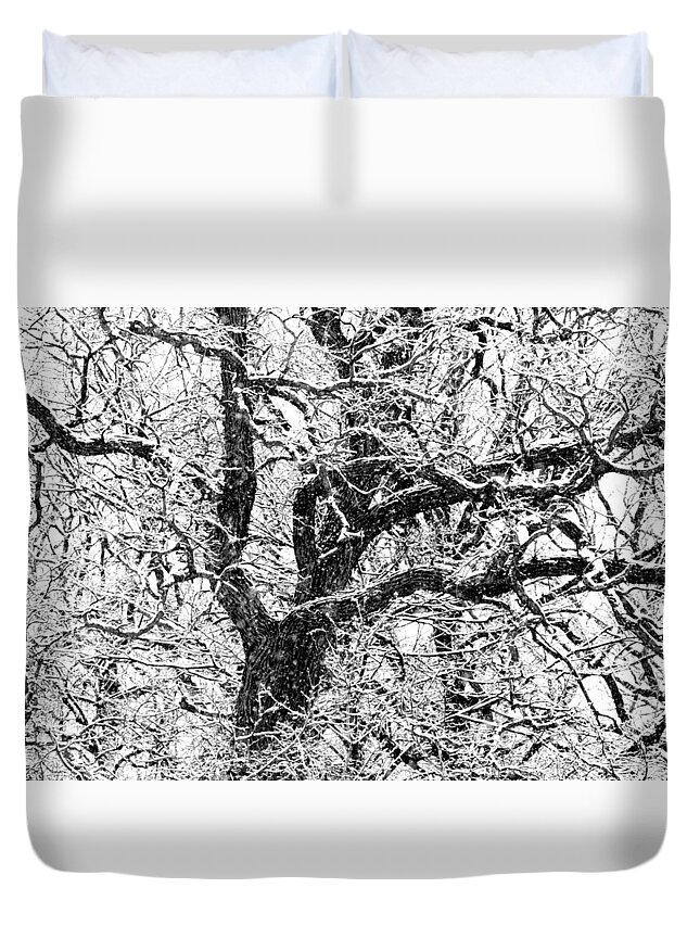 Abstract Duvet Cover featuring the photograph Snowy Oak by David Ralph Johnson