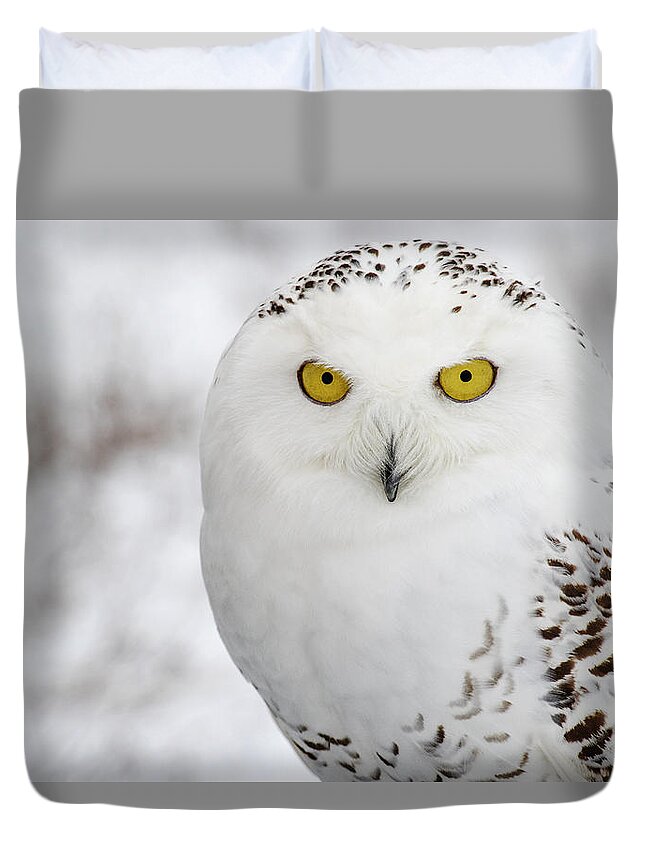 Owl Duvet Cover featuring the photograph Snowy Owl by Angie Rea