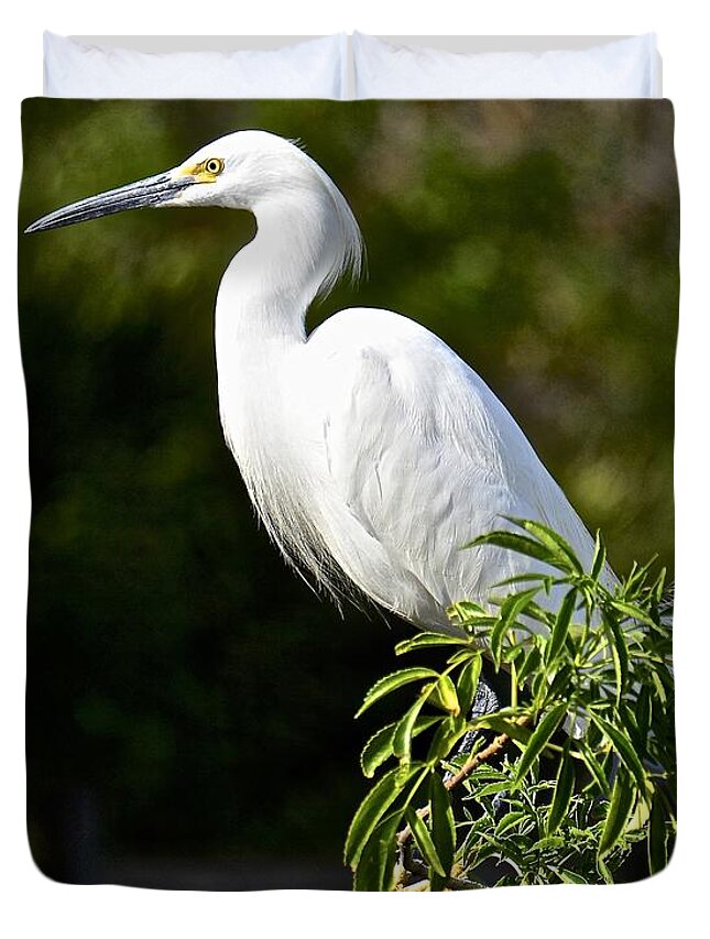 Waterbird Duvet Cover featuring the photograph Snowy Profile by Carol Bradley