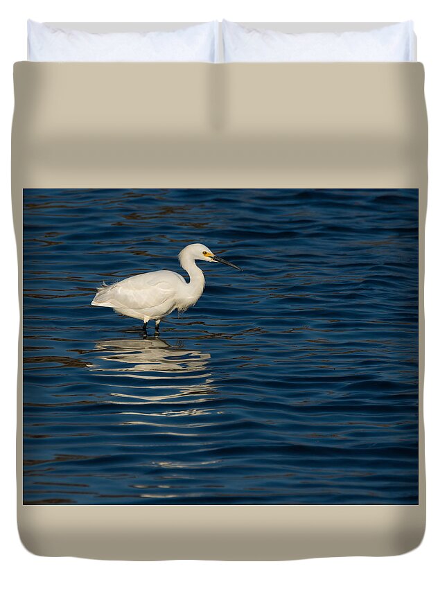 Birds Duvet Cover featuring the photograph Snowy Reflections by Ernest Echols